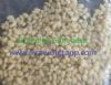 Granule Gum Base - SH003